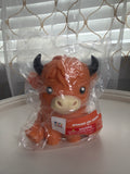 Highland Cow